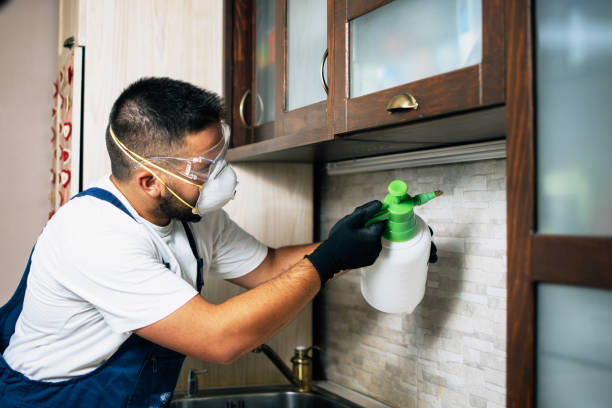 Best Pest Removal Services  in Mentor On The Lake, OH